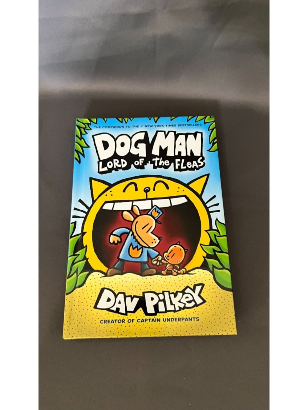 Childrens Chapter Books Bundle Featuring Dog Man Hey Jack Kickers And More - Picture 9 of 9